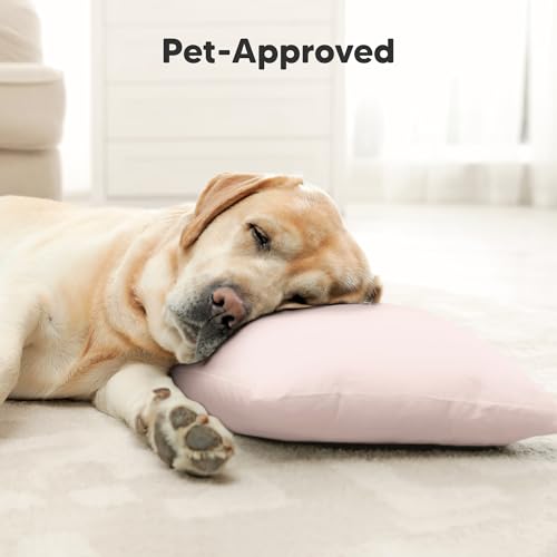 Toddler Pillow with Pillowcase