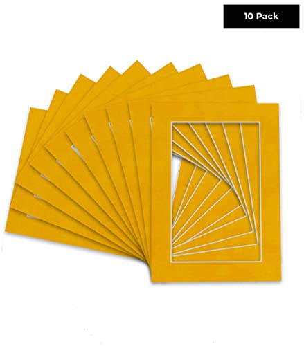 Pack of Ten Acid Free 11x14 Mats Bevel Cut for 9x12 Photos (10 Count)