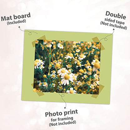 20 Pack 8x10 Uncut Photo Mat Matboards