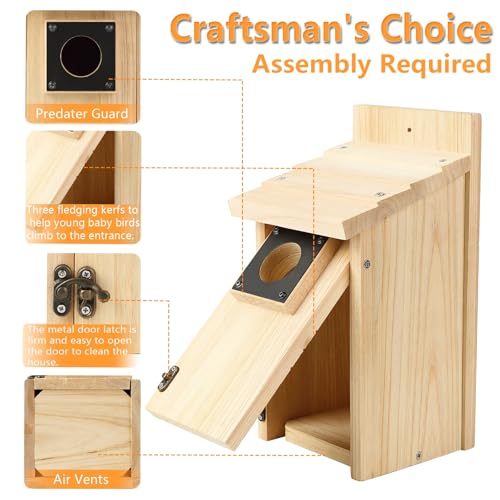 Wooden Bird Houses for Outside with Paint Set (4 Gram)