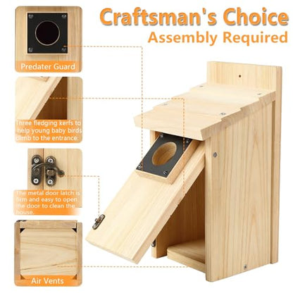 Wooden Bird Houses for Outside with Paint Set (4 Gram)