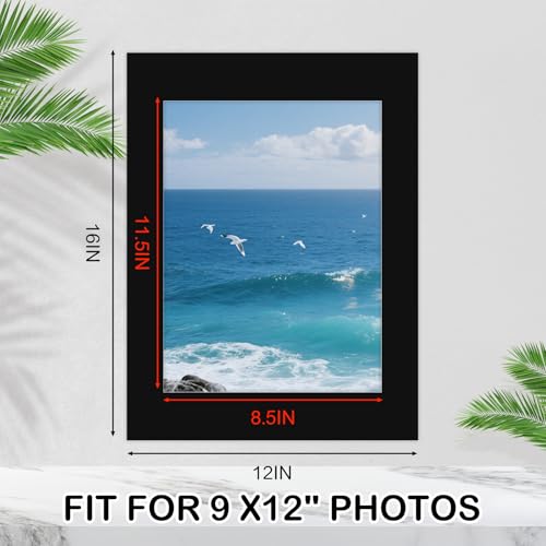 15 Pack Picture Mats 12x16 for 9x12 Photos (15 Count)