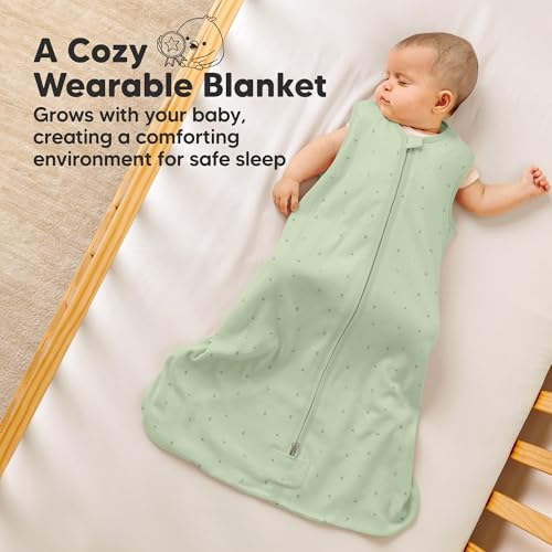2 Pack Baby Sleep Sacks (2 Count)