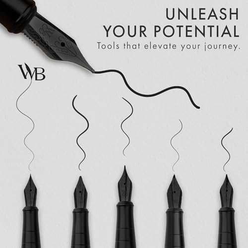 Luxury Fountain Pen Set for Writing