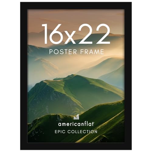 16x22 Poster Frame