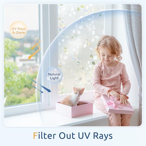 Window Privacy Film