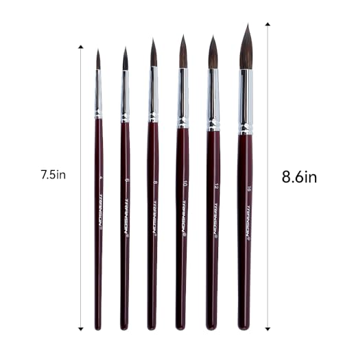 Squirrel Hair Round Paint Brush Set for Watercolor Gouache Ink Acrylic Art Painting Short (6 Count)