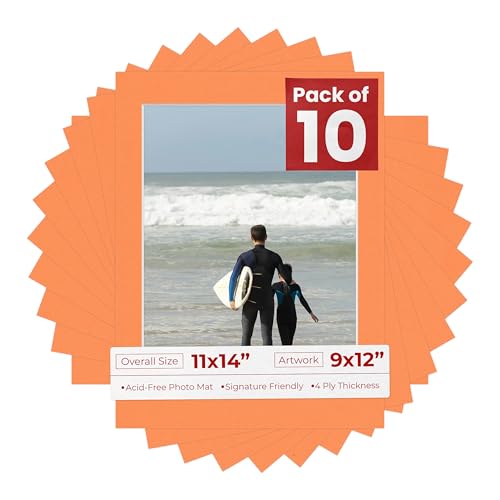 Pack of Ten Acid Free 11x14 Mats Bevel Cut for 9x12 Photos (10 Count)