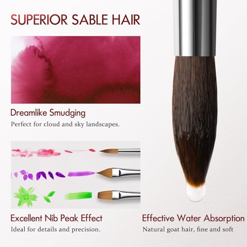Sable Watercolor Paintbrushes Professional