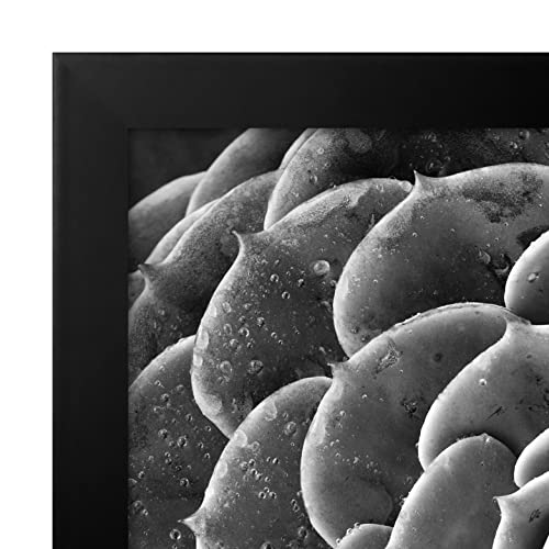 22x34 Poster Frame