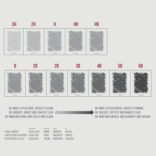 12 Count Assorted Graphite Pencil Drawing Set