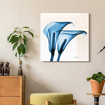 Frameless Free Floating Tempered Glass Panel Graphic Wall Art Ready to Hang (2 Count)
