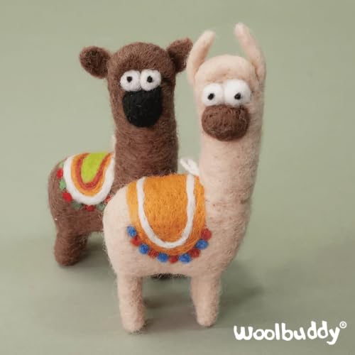 Needle Felting Starter Kit