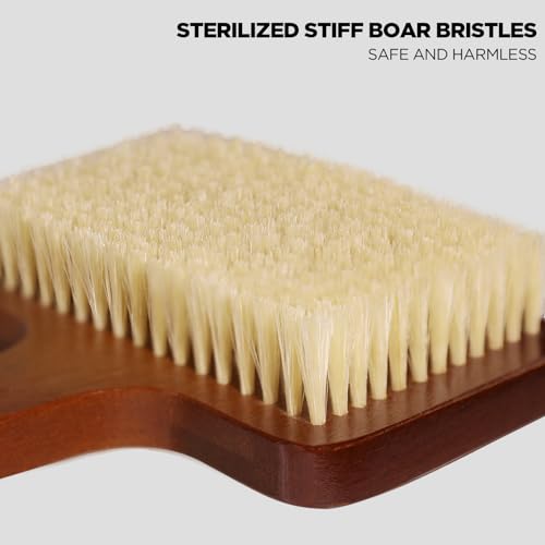 Exfoliation Set