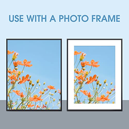 10 Pack 5x7 White Picture Mats