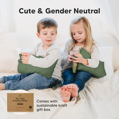 Mini Toddler Pillow with Pillowcase