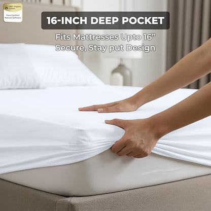 100% Organic Cotton 2 Pack Fitted Sheet (2 Count)