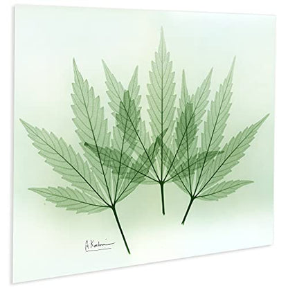 Frameless Free Floating Tempered Glass Panel Graphic Wall Art Ready to Hang