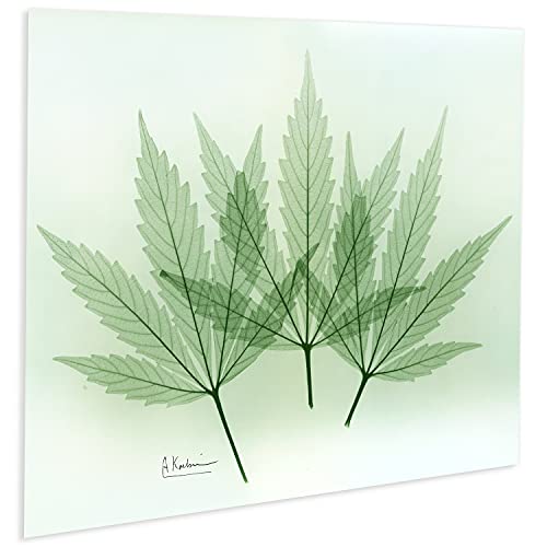Frameless Free Floating Tempered Glass Panel Graphic Wall Art Ready to Hang