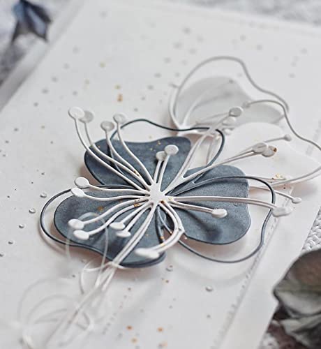 Metal Cutting Die for Scrapbooking
