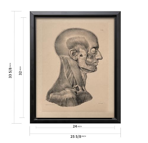 Vintage Science Canvas