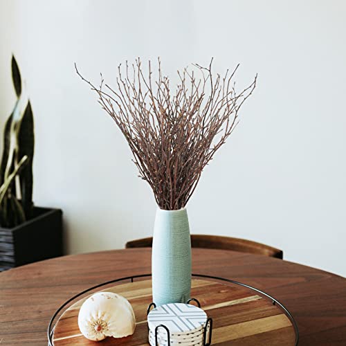 200PCS Birch Twigs (200 Count)