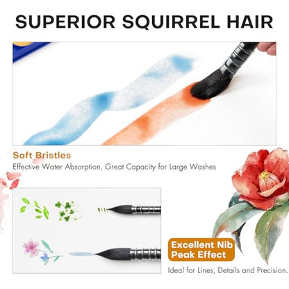 3PCS Squirrel Hair Watercolor Brushes (3 Count)