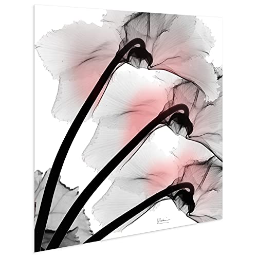 Frameless Free Floating Tempered Glass Panel Graphic Wall Art Ready to Hang