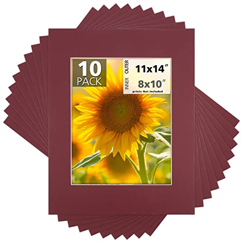 Mat Board Center 10 Pack 11x14 Photo Mats for 8x10 Picture (10 Count)