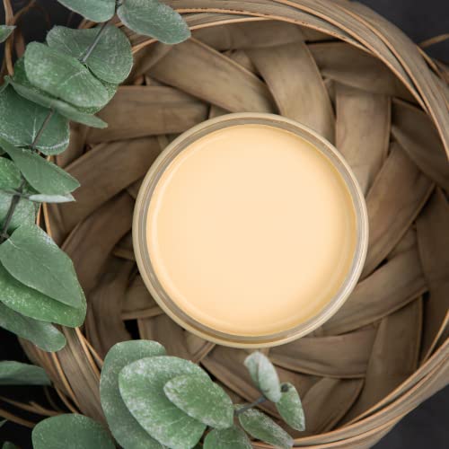 Chalk Mineral Paint (4 Fl Oz)