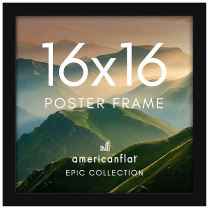 16x16 Poster Frame
