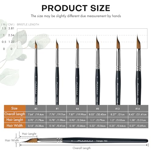 Triangle Wedge Paint Brushes Set