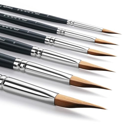 Triangle Wedge Paint Brushes Set