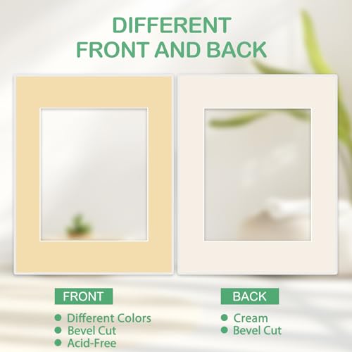 15 Pack Picture Mats 11x14 for 8x10 Photos (15 Count)