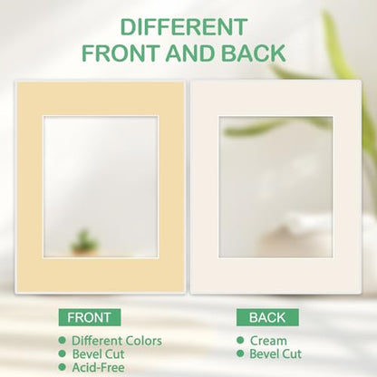 15 Pack Picture Mats 11x14 for 8x10 Photos (15 Count)