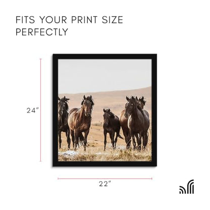 22x24 Poster Frame