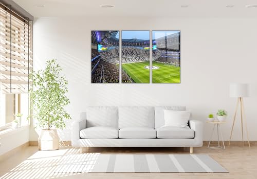 Tottenham Hotspur Stadium Tempered Glass Wall Art Painting for Living Room