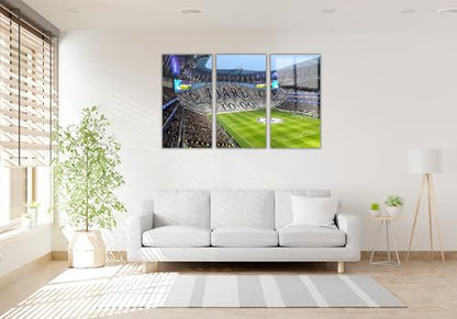 Tottenham Hotspur Stadium Tempered Glass Wall Art Painting for Living Room