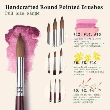 Sable Hair Watercolor Brushes Professional (9 Count)