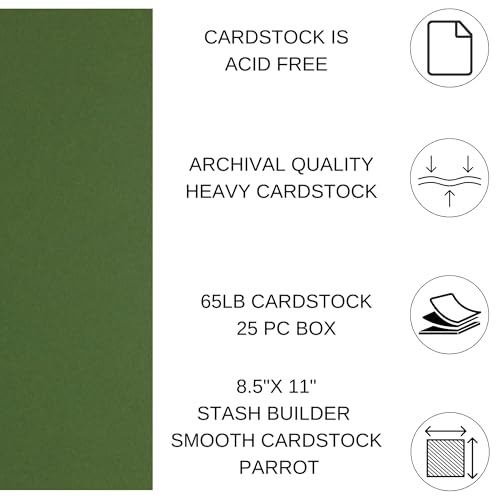 PA Paper Accents Stash Builder Cardstock 8.5" x 11" BParrot