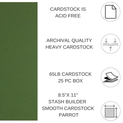 PA Paper Accents Stash Builder Cardstock 8.5" x 11" BParrot