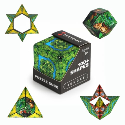 DODECA Magnetic Puzzle Cube