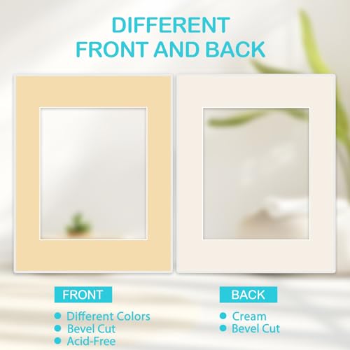 15 Pack 8x10 Picture Mats for 5x7 Photos (15 Count)
