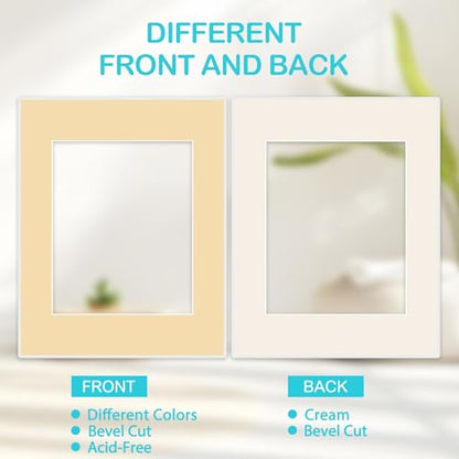 15 Pack 8x10 Picture Mats for 5x7 Photos (15 Count)
