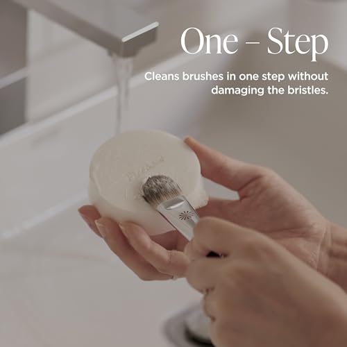Brush Cleaner Soap with Case & Cleaning Mat