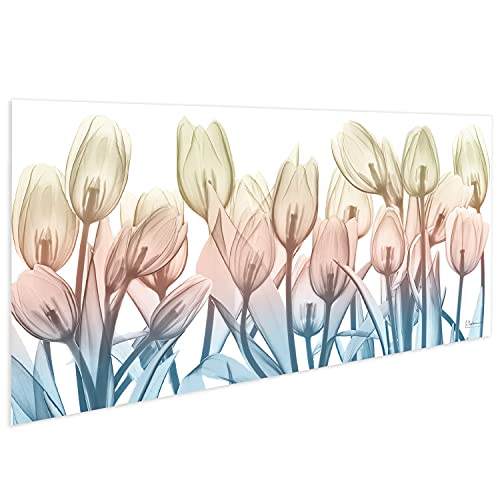 Frameless Free Floating Tempered Glass Panel Graphic Wall Art Ready to Hang