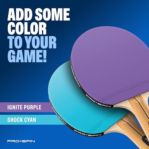 Portable Ping Pong Set with Retractable Ping Pong Net for Any Table