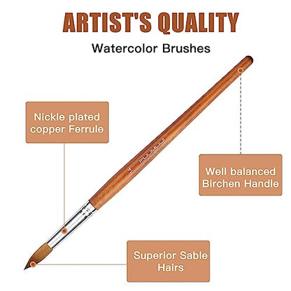 Sable Watercolor Brushes Professional