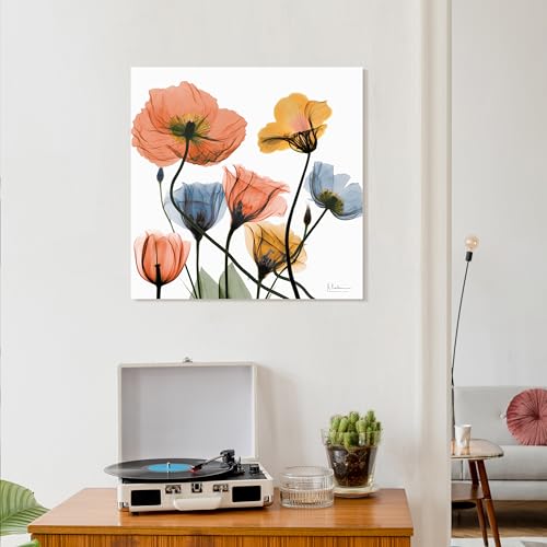 Frameless Free Floating Tempered Glass Panel Graphic Wall Art Ready to Hang