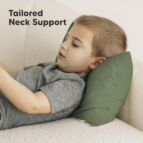 Toddler Pillow with Pillowcase